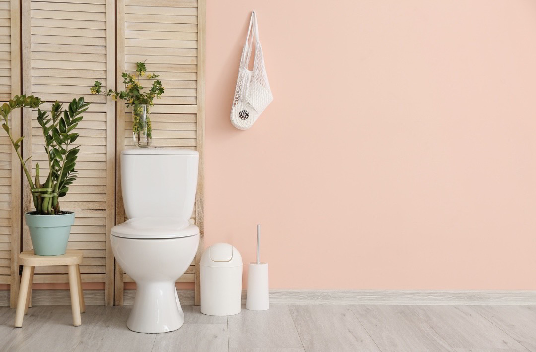 腸活先生が教える便秘（ダイエット）に効果的な最高のトイレ習慣について